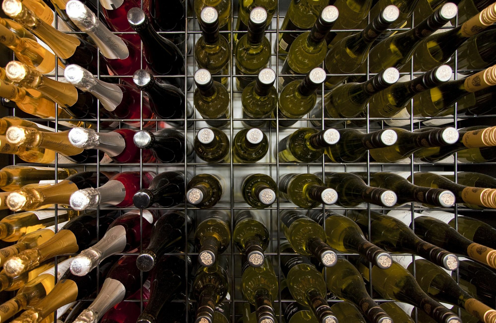 Balgownie Estate Yarra Valley Yarra Glen Exteriör bild Wine bottles in a wine rack